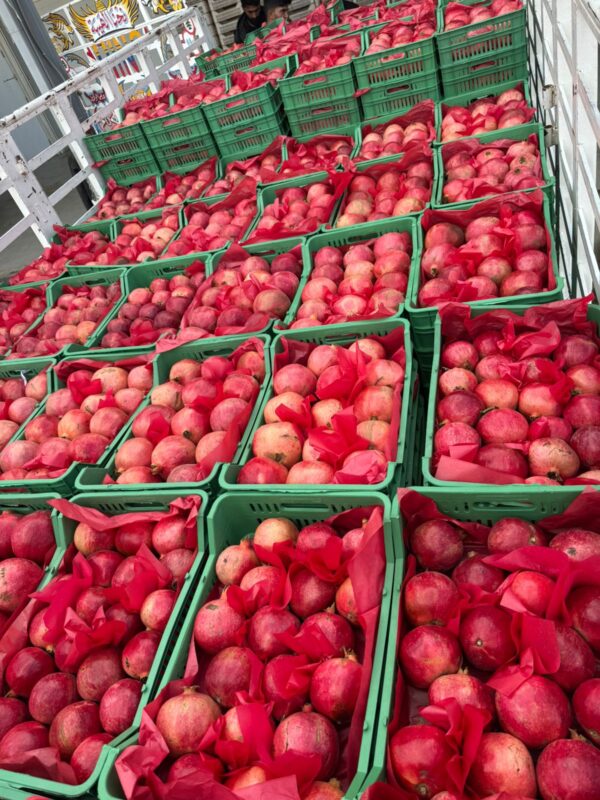 WhatsApp Image 2025-11-11 at 11.01.44 AM