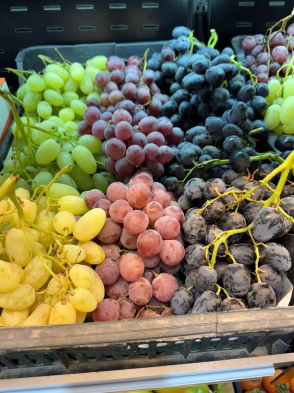 WhatsApp Image 2025-11-11 at 11.17.51 AM (2)