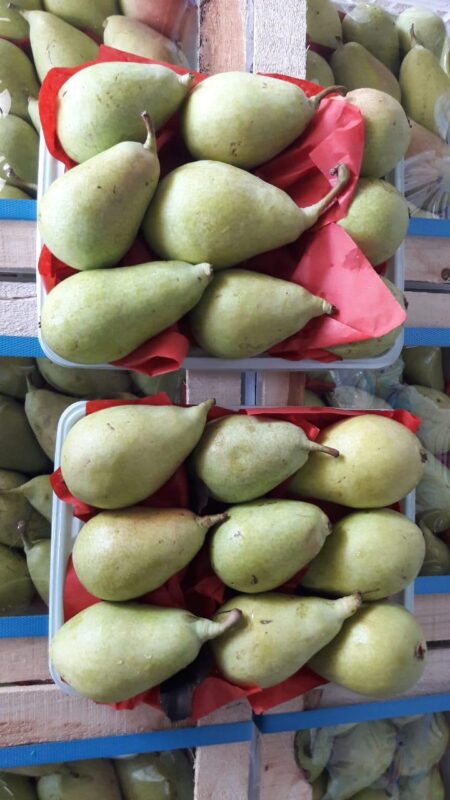 WhatsApp Image 2025-11-19 at 09.17.56 (2)