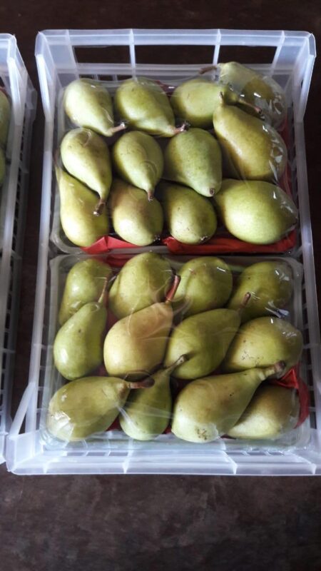 WhatsApp Image 2025-11-19 at 09.17.56