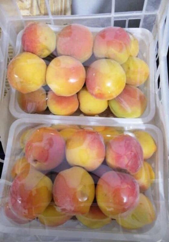 WhatsApp Image 2025-11-19 at 09.18.36