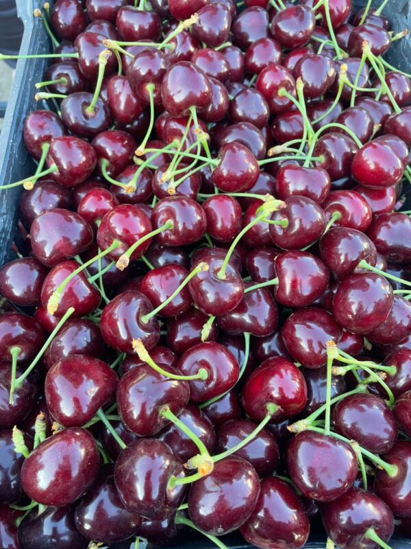 WhatsApp Image 2025-11-19 at 09.18.48