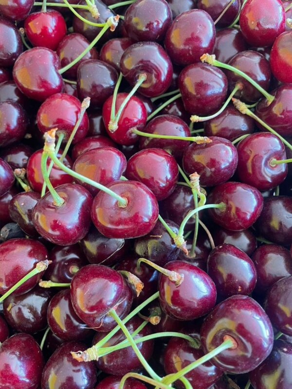 WhatsApp Image 2025-11-19 at 09.19.05 (1)