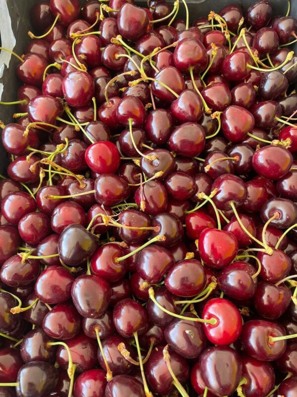 WhatsApp Image 2025-11-19 at 09.19.05 (2)