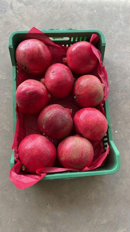 WhatsApp Image 2025-11-19 at 09.20.25